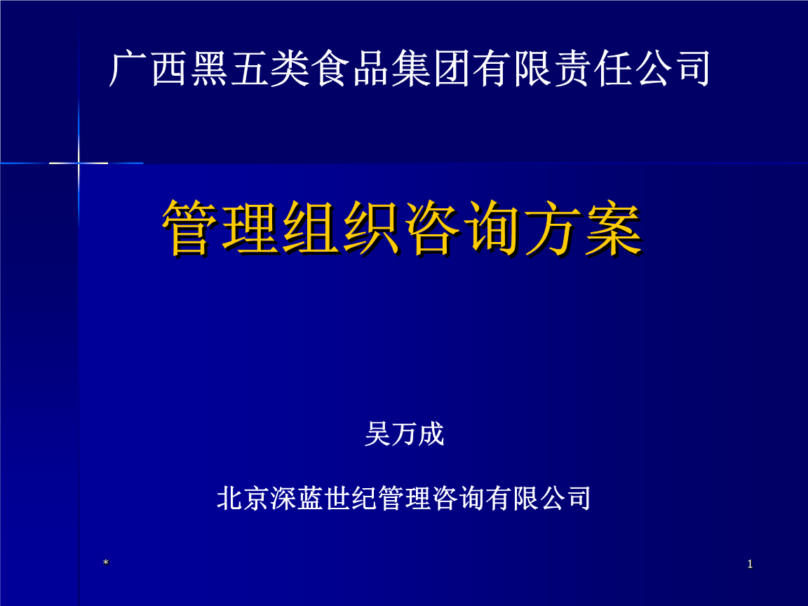 《黑五类黑芝麻糊食品集团公司管理组织咨询策划方案》核心解析